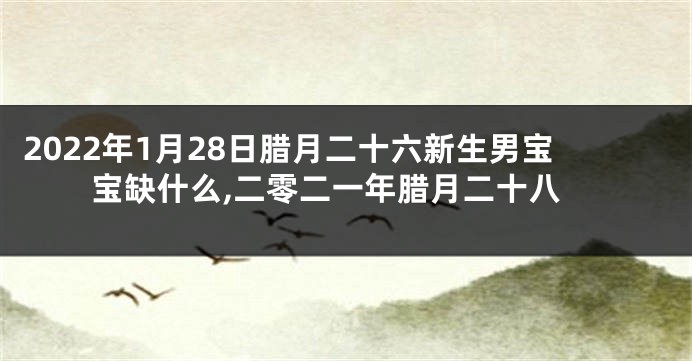2022年1月28日腊月二十六新生男宝宝缺什么,二零二一年腊月二十八