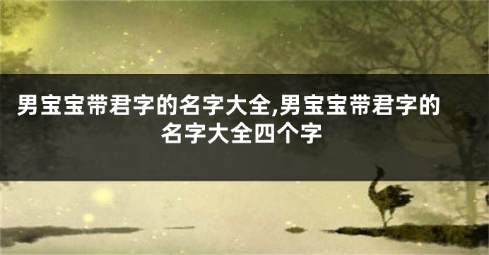 男宝宝带君字的名字大全,男宝宝带君字的名字大全四个字