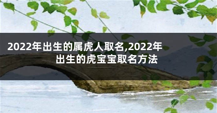 2022年出生的属虎人取名,2022年出生的虎宝宝取名方法