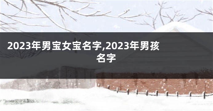 2023年男宝女宝名字,2023年男孩名字