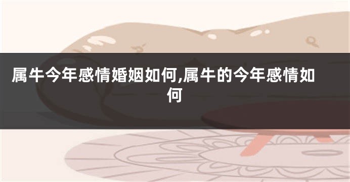 属牛今年感情婚姻如何,属牛的今年感情如何