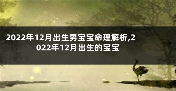 2022年12月出生男宝宝命理解析,2022年12月出生的宝宝