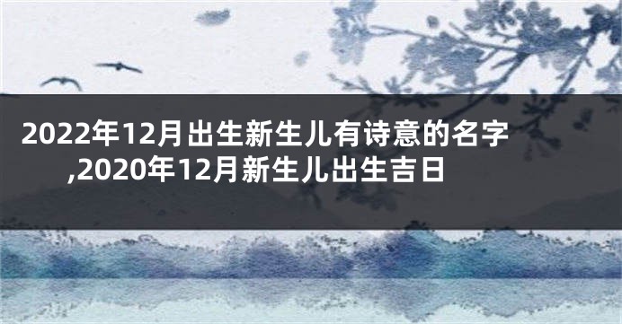 2022年12月出生新生儿有诗意的名字,2020年12月新生儿出生吉日