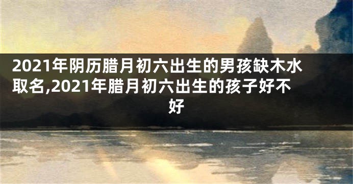2021年阴历腊月初六出生的男孩缺木水取名,2021年腊月初六出生的孩子好不好
