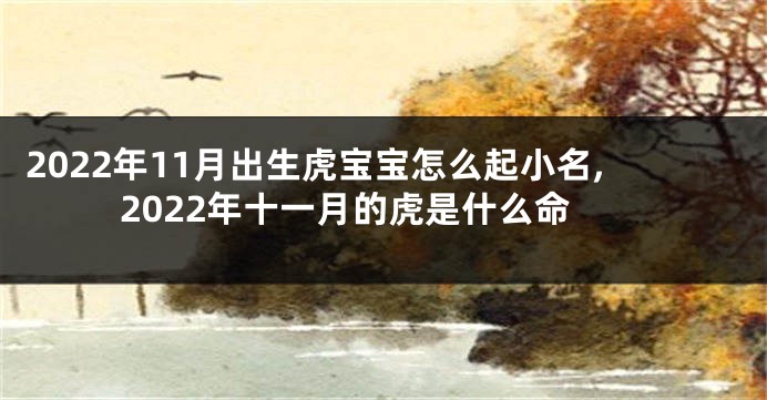 2022年11月出生虎宝宝怎么起小名,2022年十一月的虎是什么命