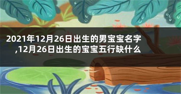2021年12月26日出生的男宝宝名字,12月26日出生的宝宝五行缺什么