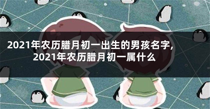 2021年农历腊月初一出生的男孩名字,2021年农历腊月初一属什么