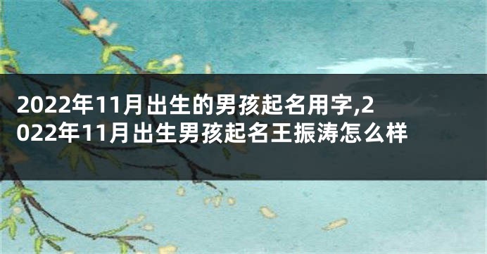 2022年11月出生的男孩起名用字,2022年11月出生男孩起名王振涛怎么样