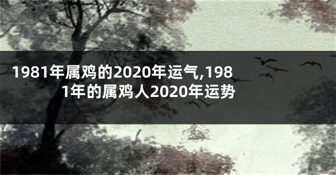 1981年属鸡的2020年运气,1981年的属鸡人2020年运势