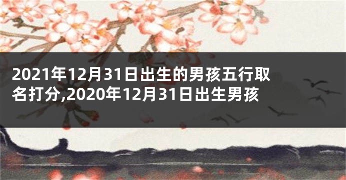 2021年12月31日出生的男孩五行取名打分,2020年12月31日出生男孩