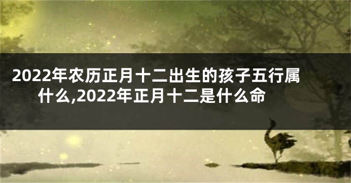 2022年农历正月十二出生的孩子五行属什么,2022年正月十二是什么命
