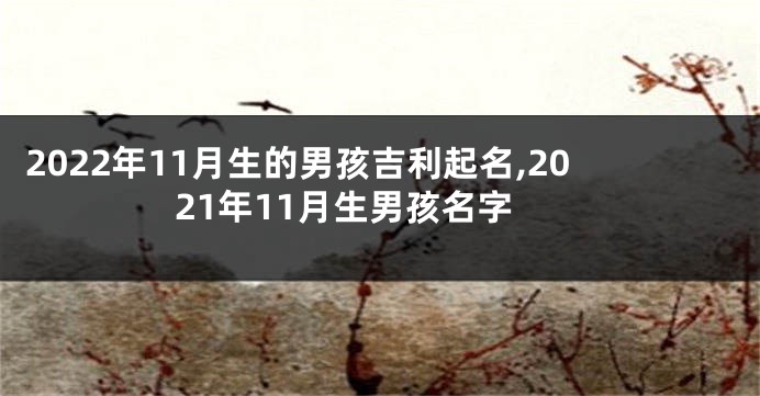 2022年11月生的男孩吉利起名,2021年11月生男孩名字