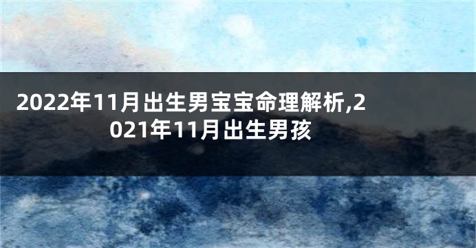 2022年11月出生男宝宝命理解析,2021年11月出生男孩