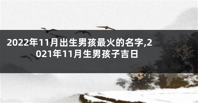 2022年11月出生男孩最火的名字,2021年11月生男孩子吉日