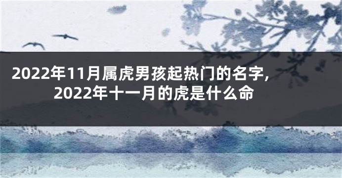 2022年11月属虎男孩起热门的名字,2022年十一月的虎是什么命