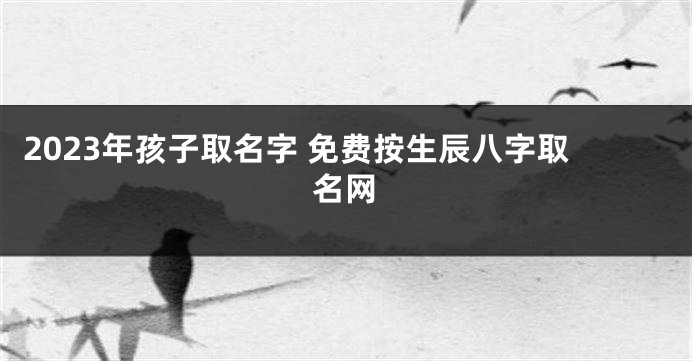 2023年孩子取名字 免费按生辰八字取名网