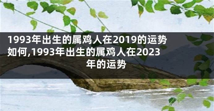1993年出生的属鸡人在2019的运势如何,1993年出生的属鸡人在2023年的运势