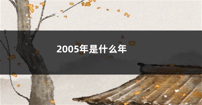 2005年是什么年
