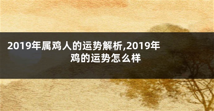 2019年属鸡人的运势解析,2019年鸡的运势怎么样