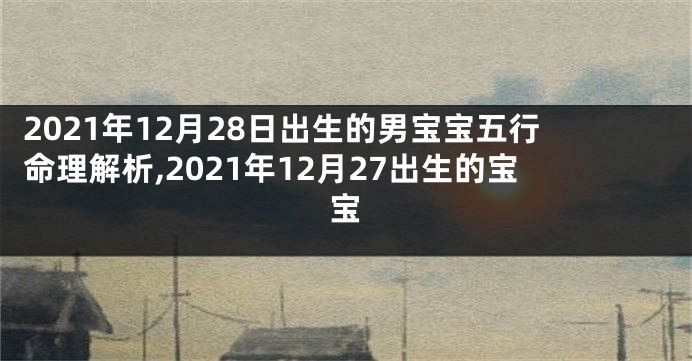 2021年12月28日出生的男宝宝五行命理解析,2021年12月27出生的宝宝