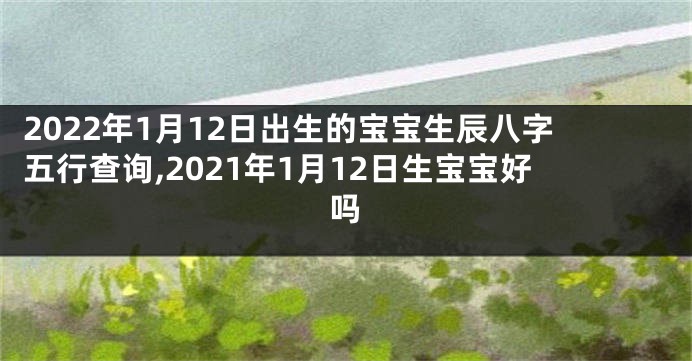 2022年1月12日出生的宝宝生辰八字五行查询,2021年1月12日生宝宝好吗