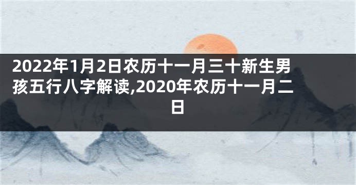 2022年1月2日农历十一月三十新生男孩五行八字解读,2020年农历十一月二日