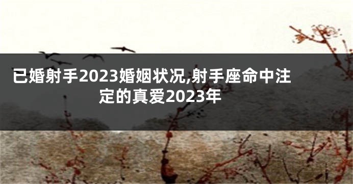 已婚射手2023婚姻状况,射手座命中注定的真爱2023年