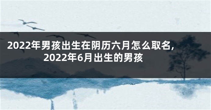 2022年男孩出生在阴历六月怎么取名,2022年6月出生的男孩