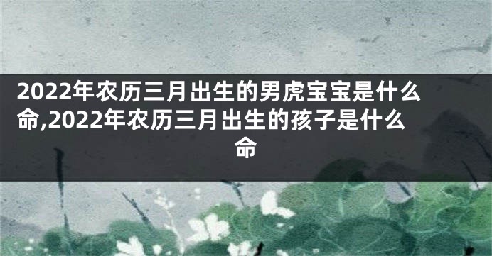 2022年农历三月出生的男虎宝宝是什么命,2022年农历三月出生的孩子是什么命