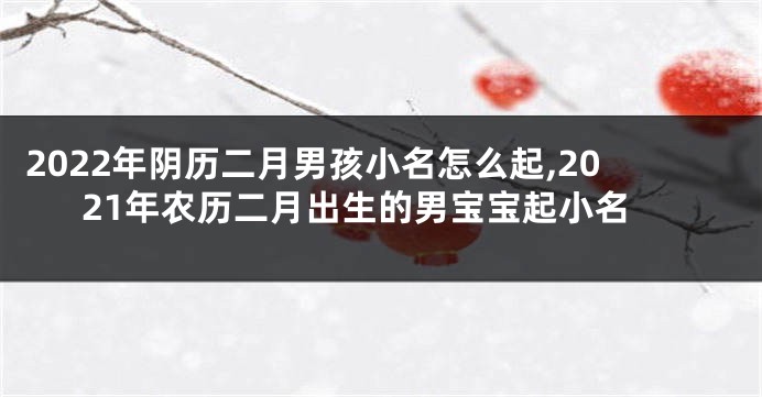 2022年阴历二月男孩小名怎么起,2021年农历二月出生的男宝宝起小名