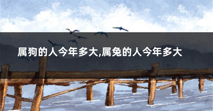 属狗的人今年多大,属兔的人今年多大