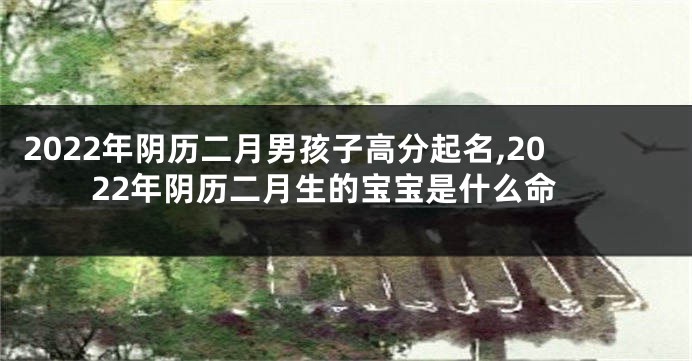 2022年阴历二月男孩子高分起名,2022年阴历二月生的宝宝是什么命