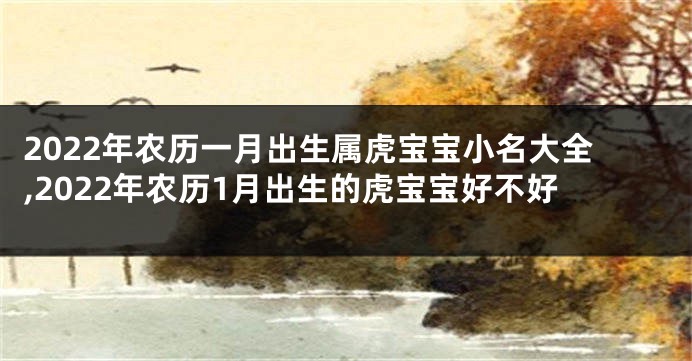 2022年农历一月出生属虎宝宝小名大全,2022年农历1月出生的虎宝宝好不好