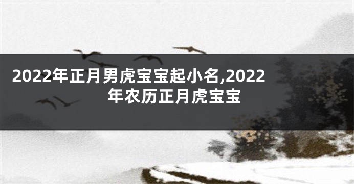 2022年正月男虎宝宝起小名,2022年农历正月虎宝宝