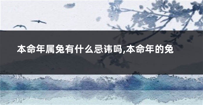 本命年属兔有什么忌讳吗,本命年的兔