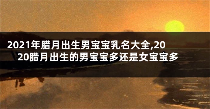 2021年腊月出生男宝宝乳名大全,2020腊月出生的男宝宝多还是女宝宝多