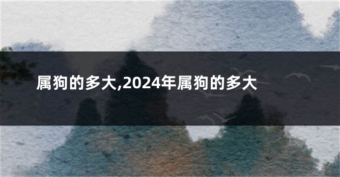 属狗的多大,2024年属狗的多大