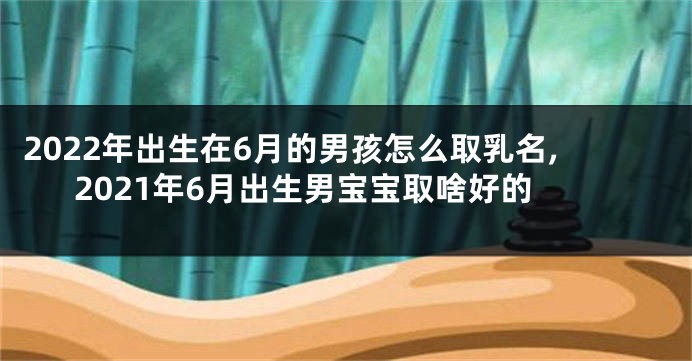 2022年出生在6月的男孩怎么取乳名,2021年6月出生男宝宝取啥好的