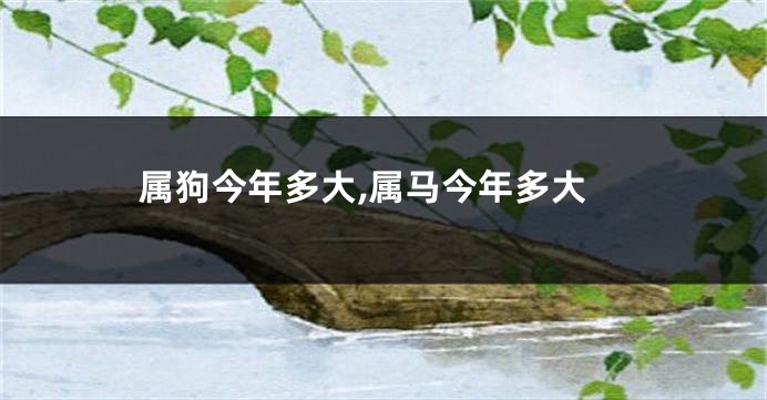 属狗今年多大,属马今年多大