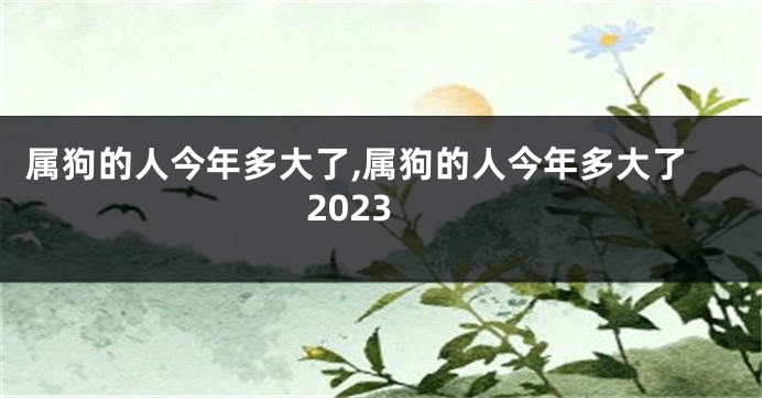 属狗的人今年多大了,属狗的人今年多大了2023