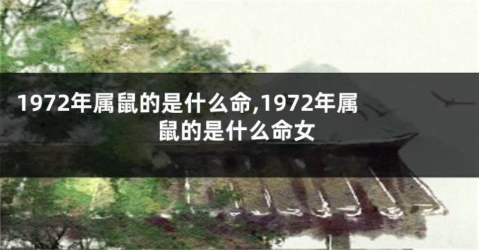 1972年属鼠的是什么命,1972年属鼠的是什么命女