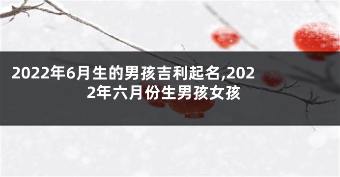 2022年6月生的男孩吉利起名,2022年六月份生男孩女孩