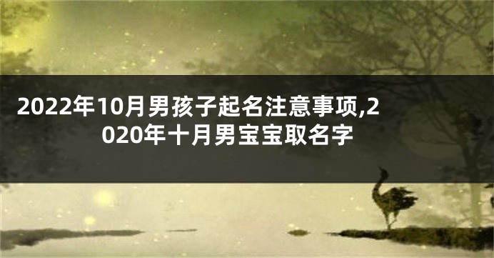 2022年10月男孩子起名注意事项,2020年十月男宝宝取名字