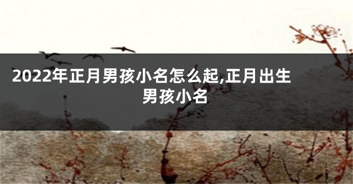 2022年正月男孩小名怎么起,正月出生男孩小名