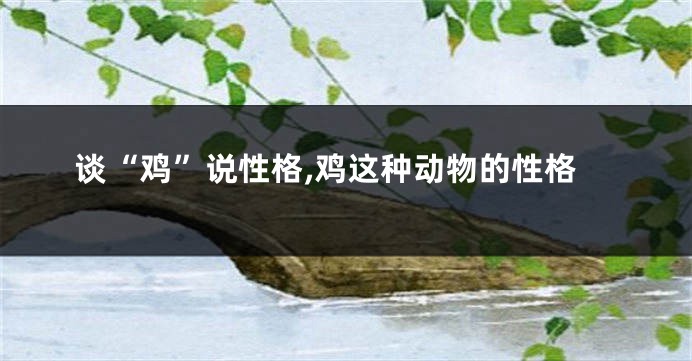 谈“鸡”说性格,鸡这种动物的性格
