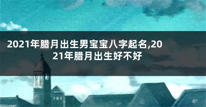 2021年腊月出生男宝宝八字起名,2021年腊月出生好不好