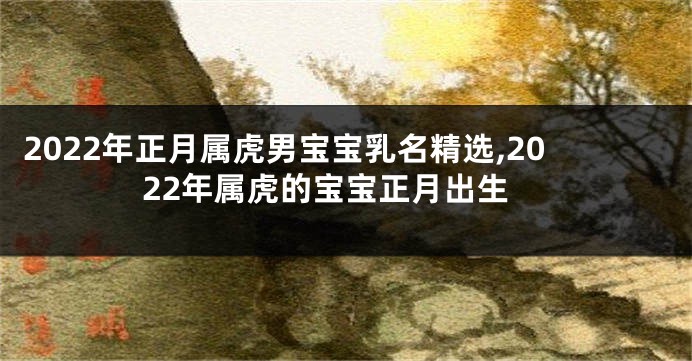 2022年正月属虎男宝宝乳名精选,2022年属虎的宝宝正月出生