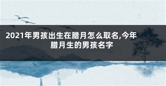 2021年男孩出生在腊月怎么取名,今年腊月生的男孩名字