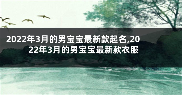 2022年3月的男宝宝最新款起名,2022年3月的男宝宝最新款衣服