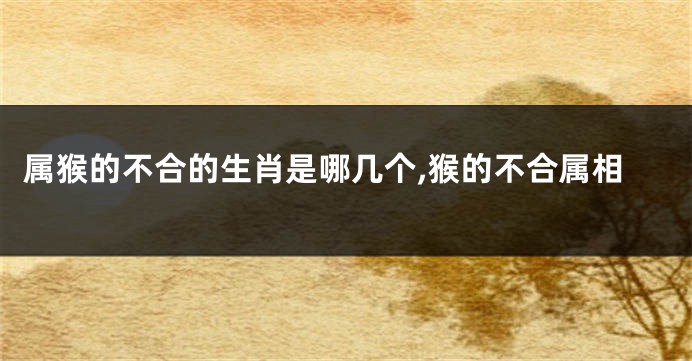 属猴的不合的生肖是哪几个,猴的不合属相